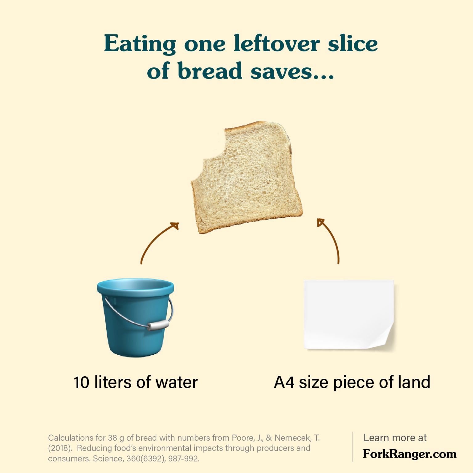 Food waste: bread