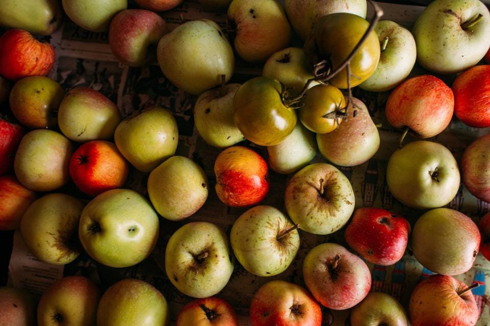 Why The Phrase Food Waste Is Hindering The Fight To Prevent It