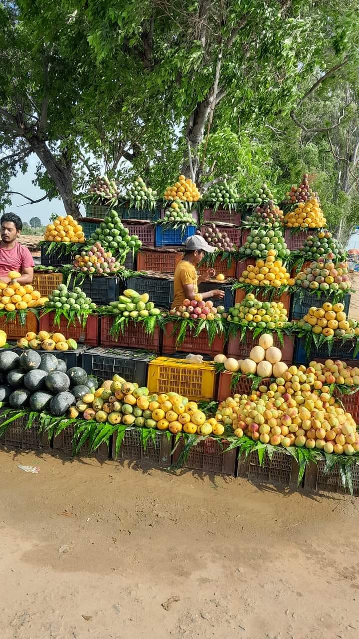 Exploring the Diversity of Grocery Stores and Open Street Markets in Asian Countries