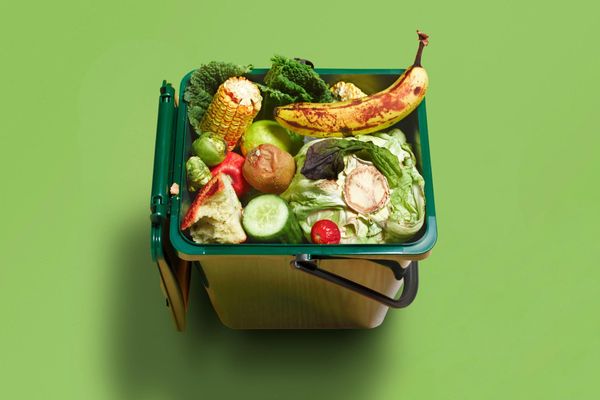 The Economic Cost of Food Waste: A Global Perspective