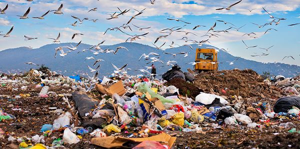 Which food waste produces the most methane in a landfill when it is isolated from oxygen?