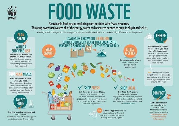 Global food system