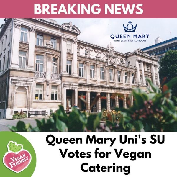 Another University to go VEGAN