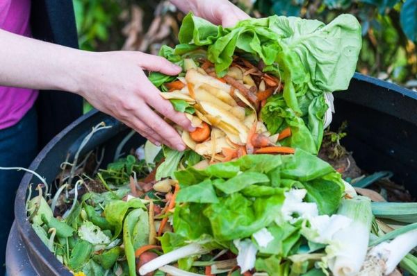 Reversing the worlds massive food waste problem