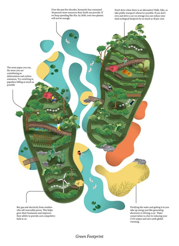 Carbon footprint infographic