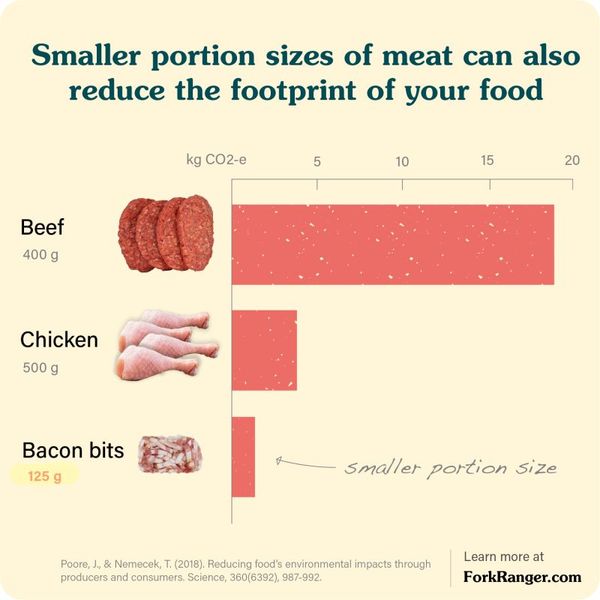 How Reducing Portion Sizes Can Help Reduce Carbon Footprint