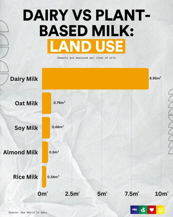 Milk: land use