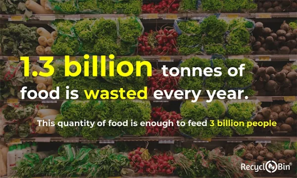 Global Food Waste: 1.3 Billion Tonnes Discarded Annually, Valued at $1 Trillion