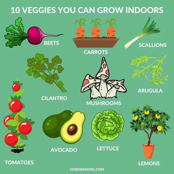 10 Vegetables You Can Grow Indoors