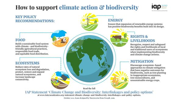 5 key policy recommendations to support climate action & biodiversity