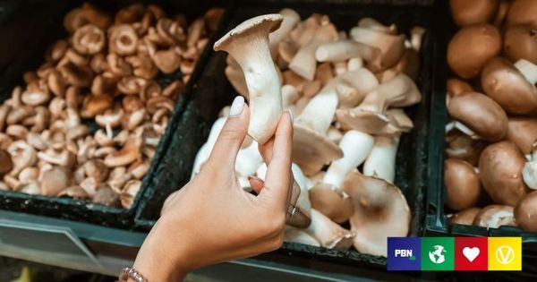 Mushrooms are a cost-effective alternative to meat