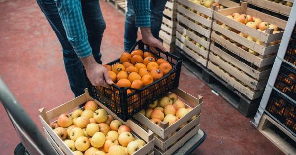 Zeroing In On Food Waste: A Toolkit For States