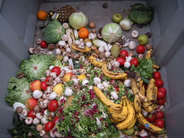 Food Waste: The Silent Killer of Our Planet