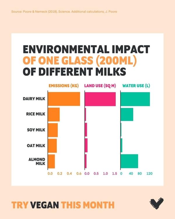 From Cows to Choices: Unveiling the Environmental Footprint of Milk Options on WorldMilkDay