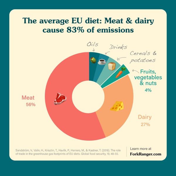 Shifting Towards Sustainability: The Role of Meat and Dairy in the EU Diet