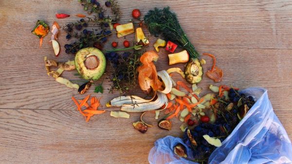 EU Commission Proposes Binding Food Waste Targets: A Milestone in the Fight Against Food Waste