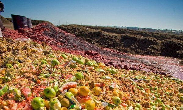 Repurposing Food Waste into Sustainable Fertilizer